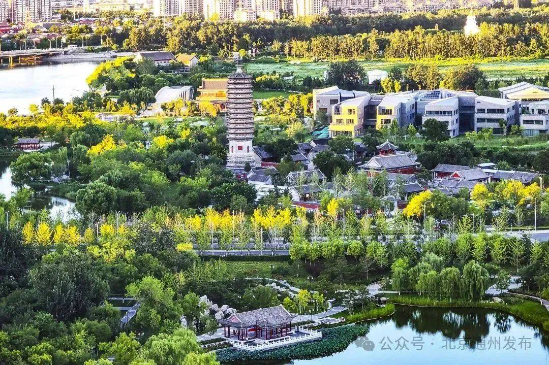 物馆超有料！观展攻略→新葡京娱乐城京城这些博(图5)