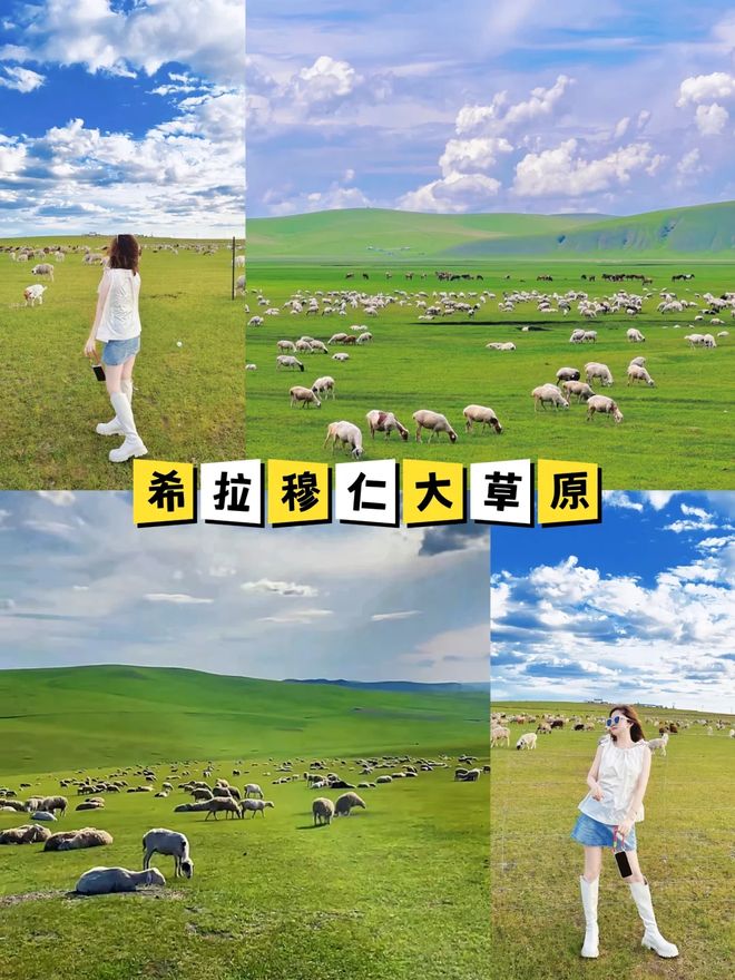 用中年人到鄂尔多斯5天团费多少钱？澳门新葡京app内蒙五日游攻略及费(图4)