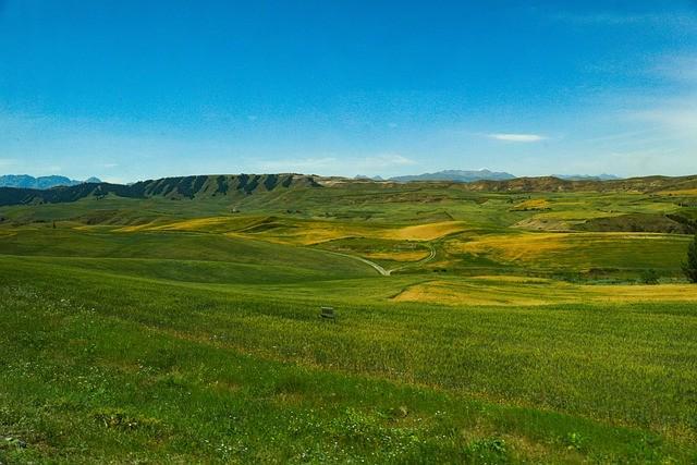 游让草原烟火气和壮美风景相得益彰新葡京博彩巴口香牛肉干+新疆自驾(图3)